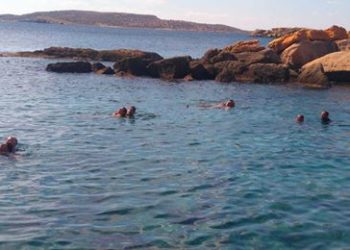 14446154 1186980038015234 3123985249743904179 n