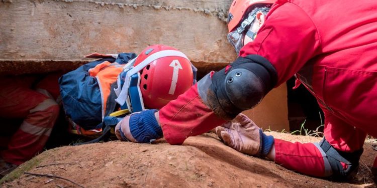 30728389 1782115658501666 5375641294017080257 n