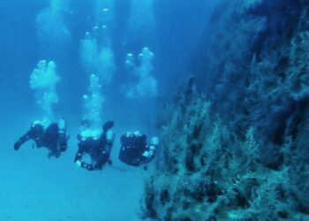 Ελληνική Ομάδα Διάσωσης Αττικής