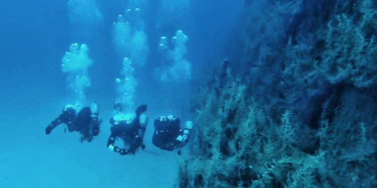 Ελληνική Ομάδα Διάσωσης Αττικής