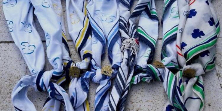 Παρουσίαση Α΄ Βοηθειών – Σ.Ε.Ο