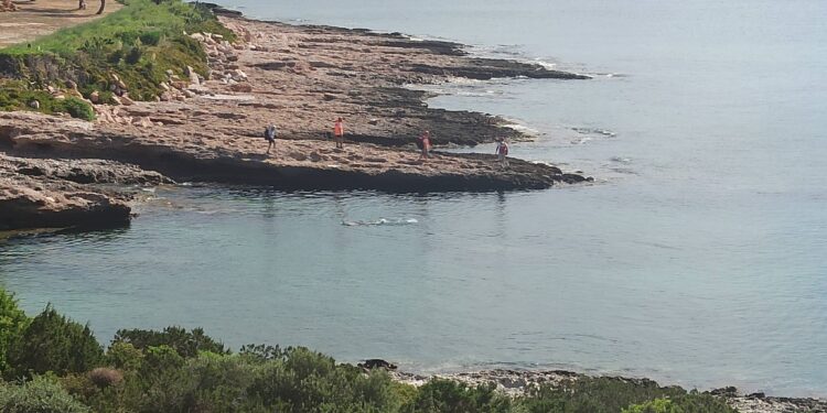 10/07/23 – ‘Ερευνα για τον εντοπισμό αγνοούμενης λουόμενης